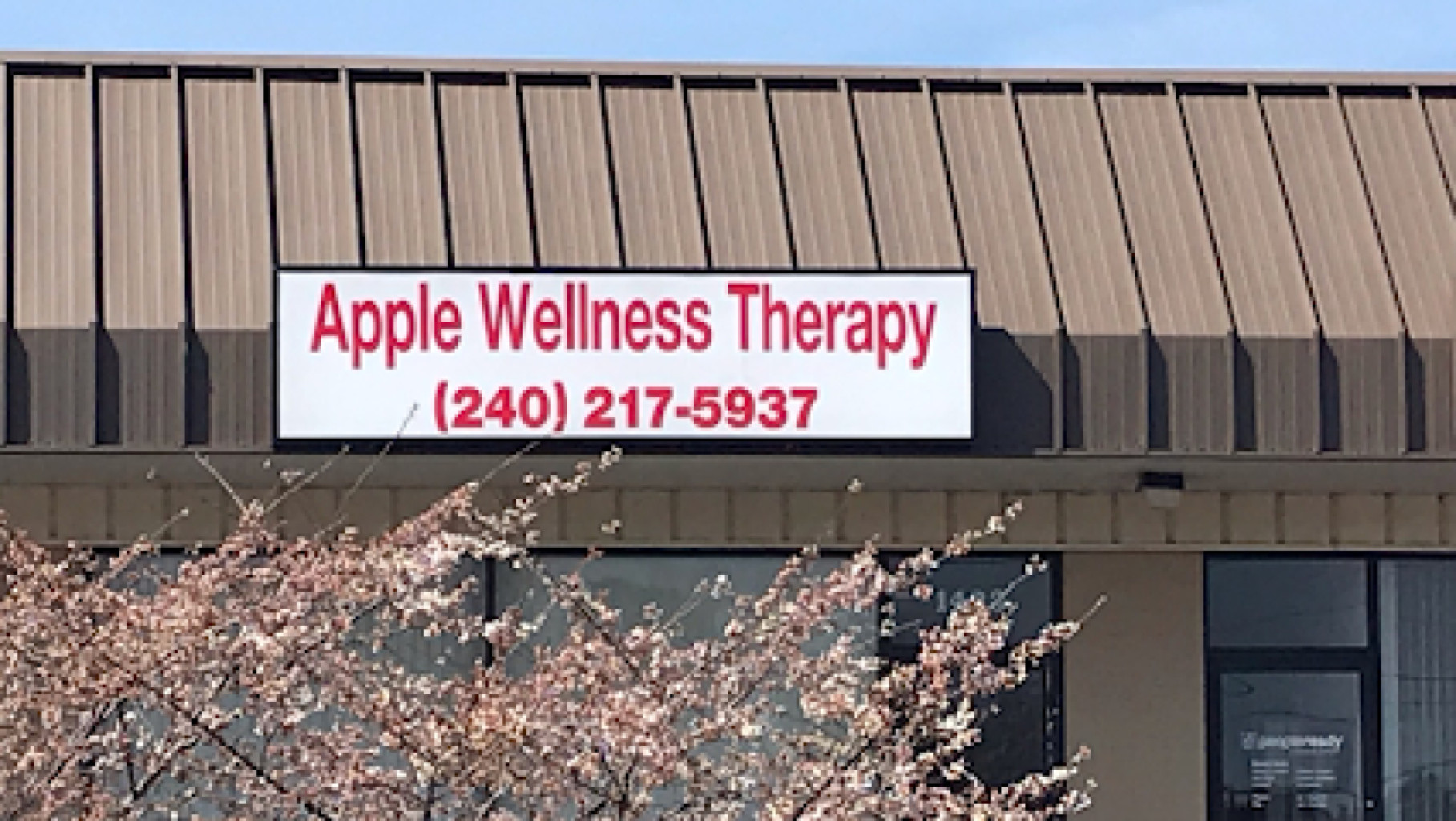 Apple Wellness Spa photo 1