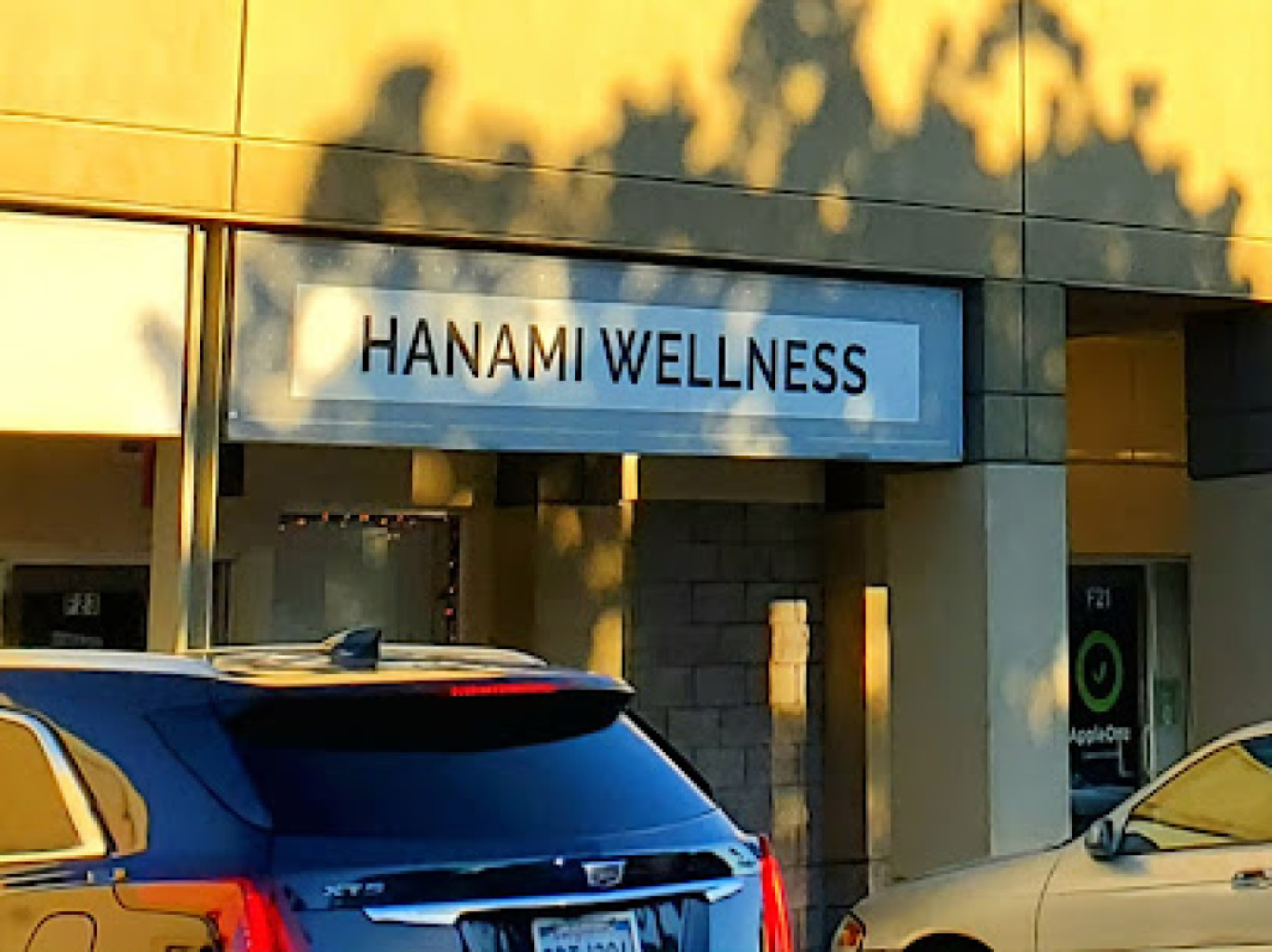 Hanami Wellness photo 1