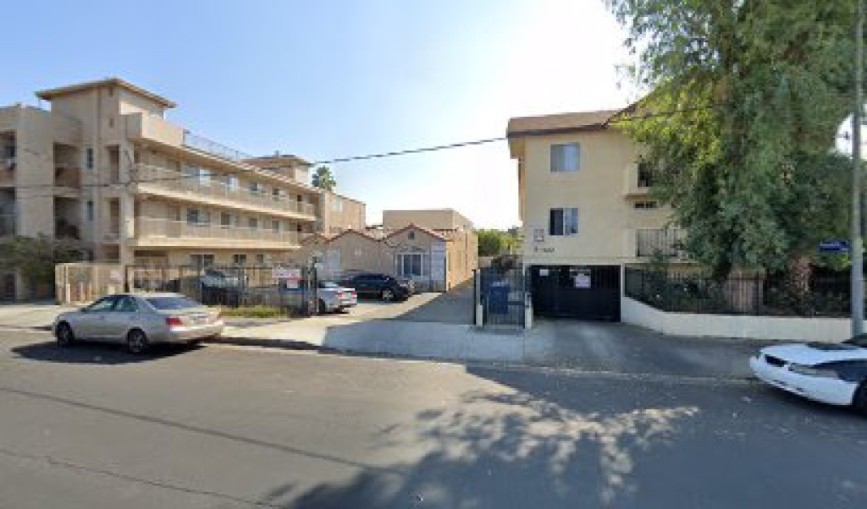 Palm Tree Health Center photo 1