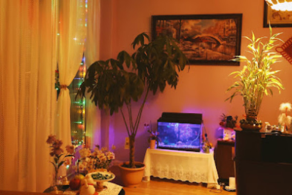 Angel Beauty Spa listing photo