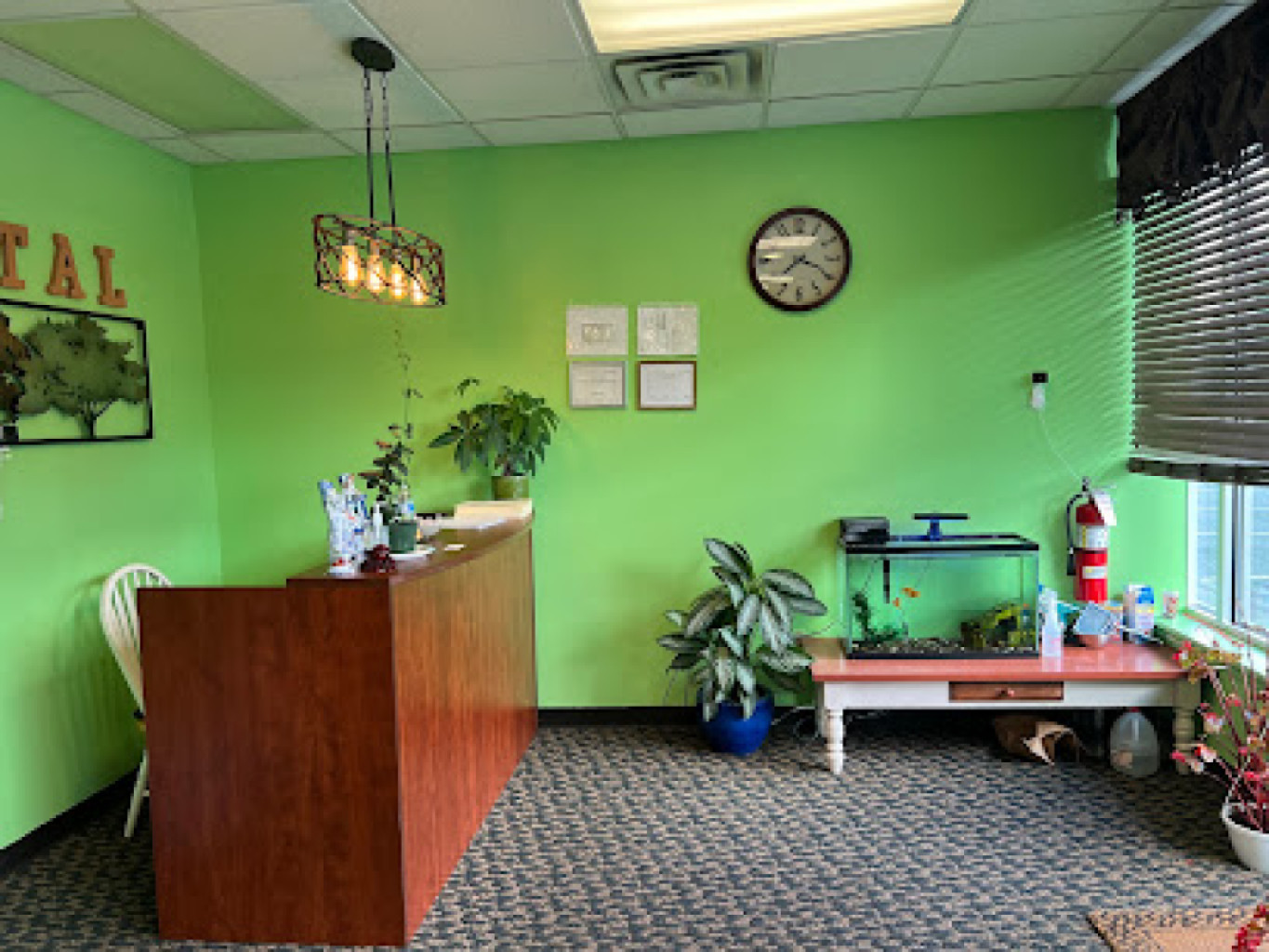 Terra Massage photo 1