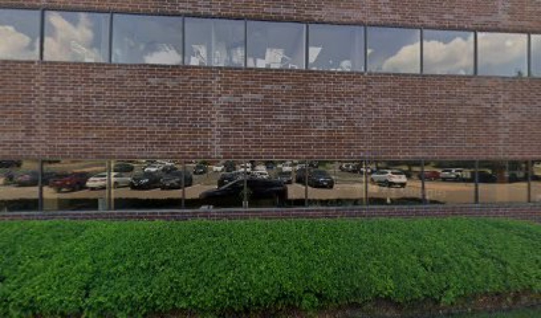 Zenology photo 1