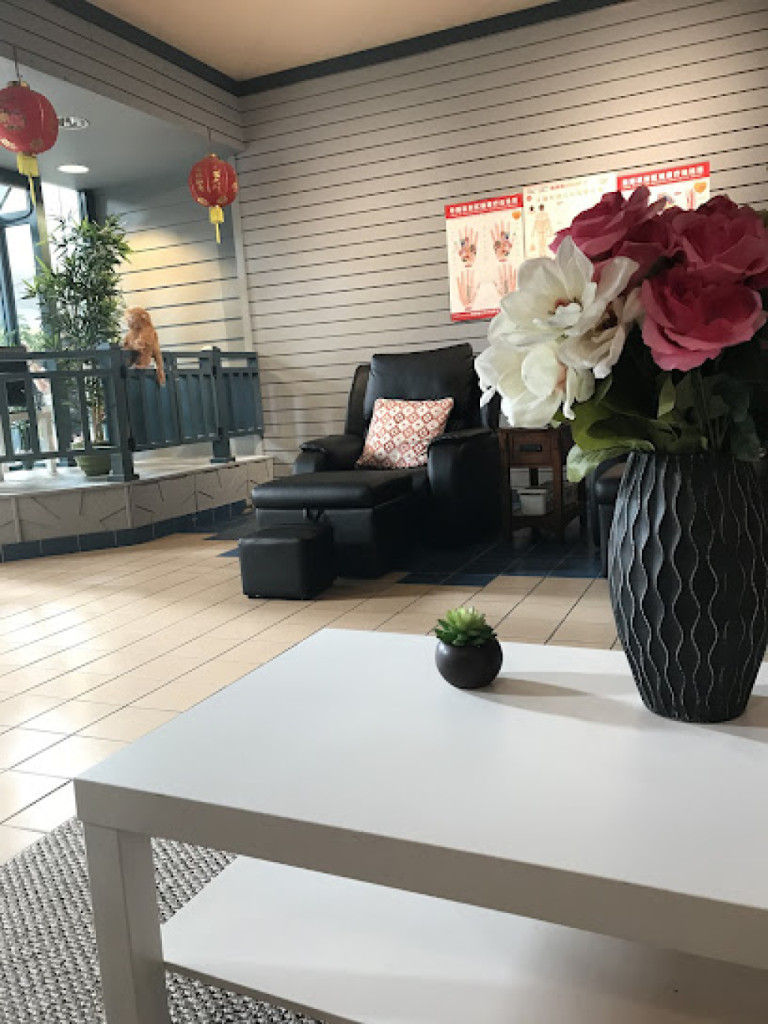 LIN'S SPA photo 1