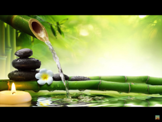 Asian Health Massage listing photo