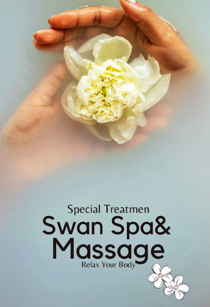Swan Spa photo 1