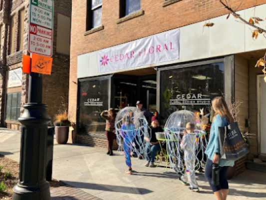 Dragon Flower Owatonna listing photo
