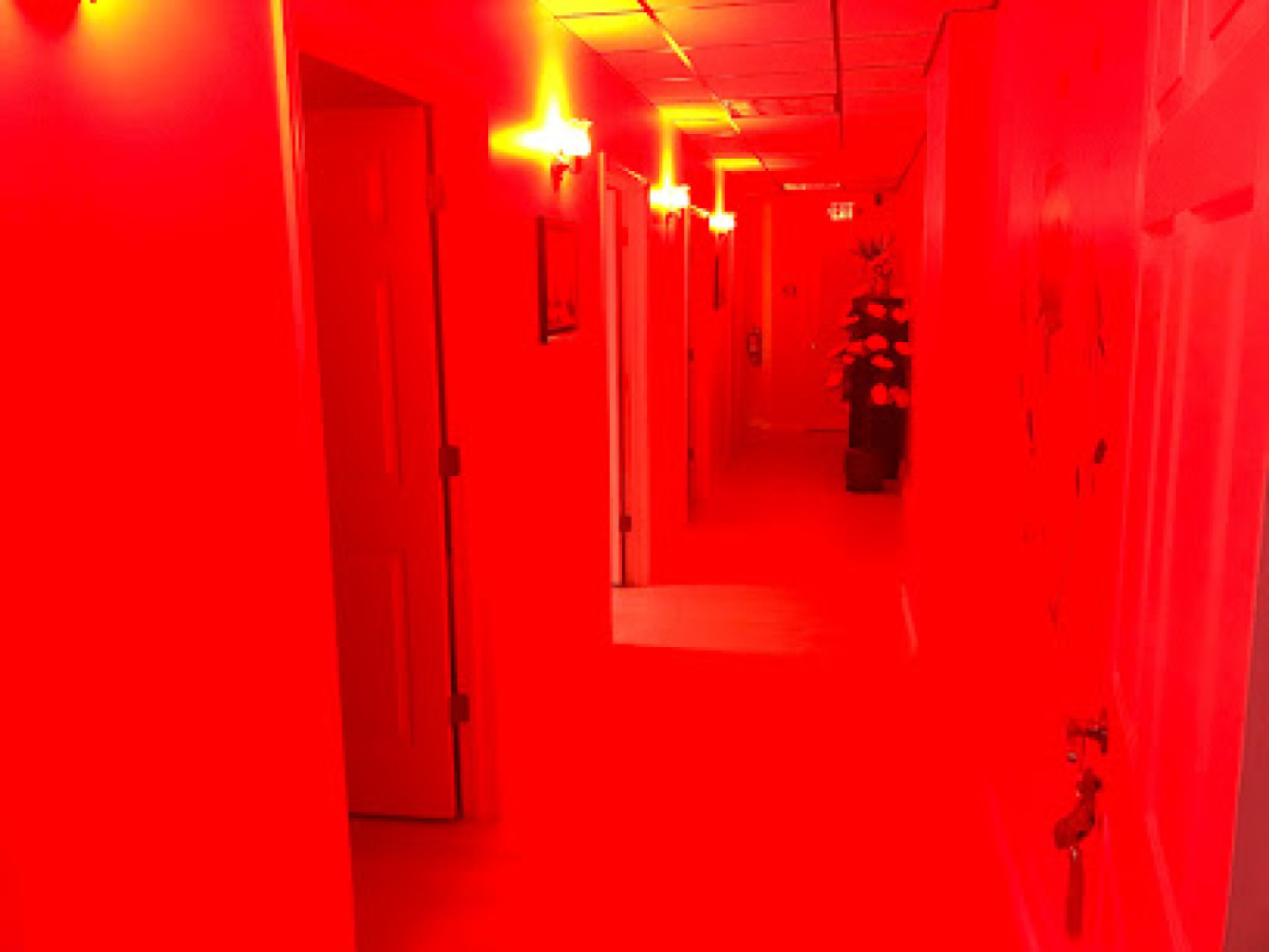 Magic Fingers Spa photo 1