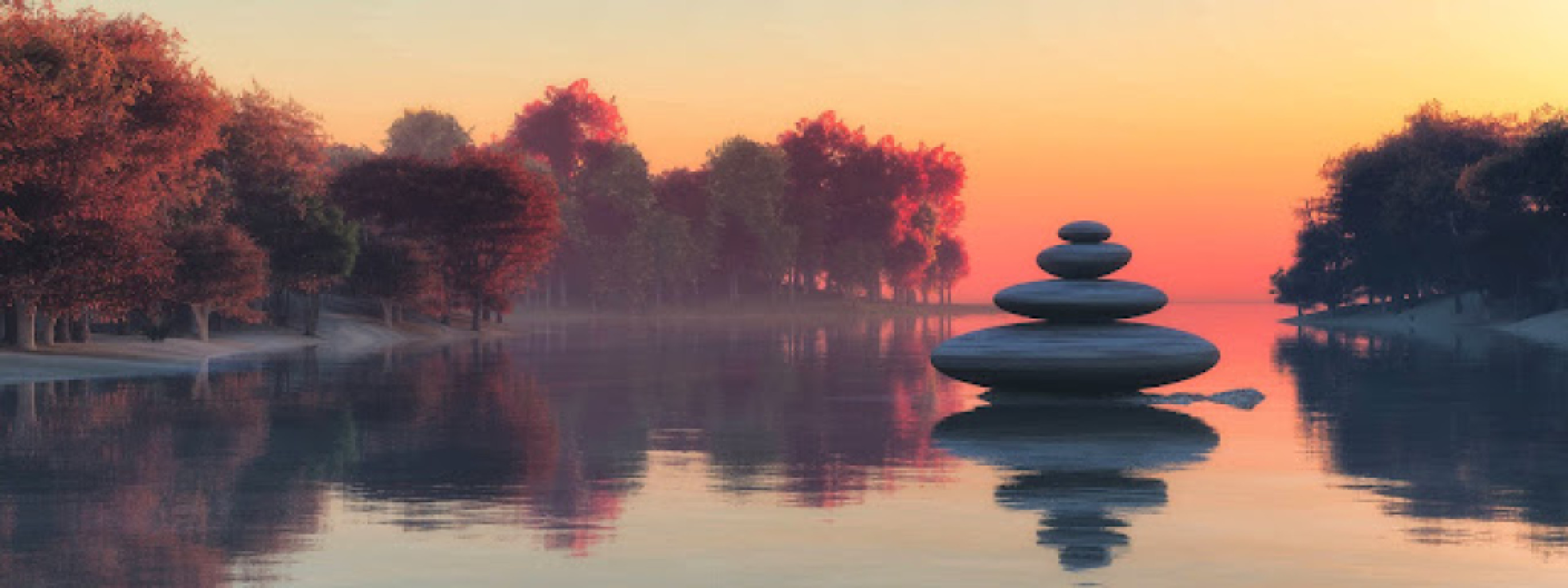 Maple Massage photo 1