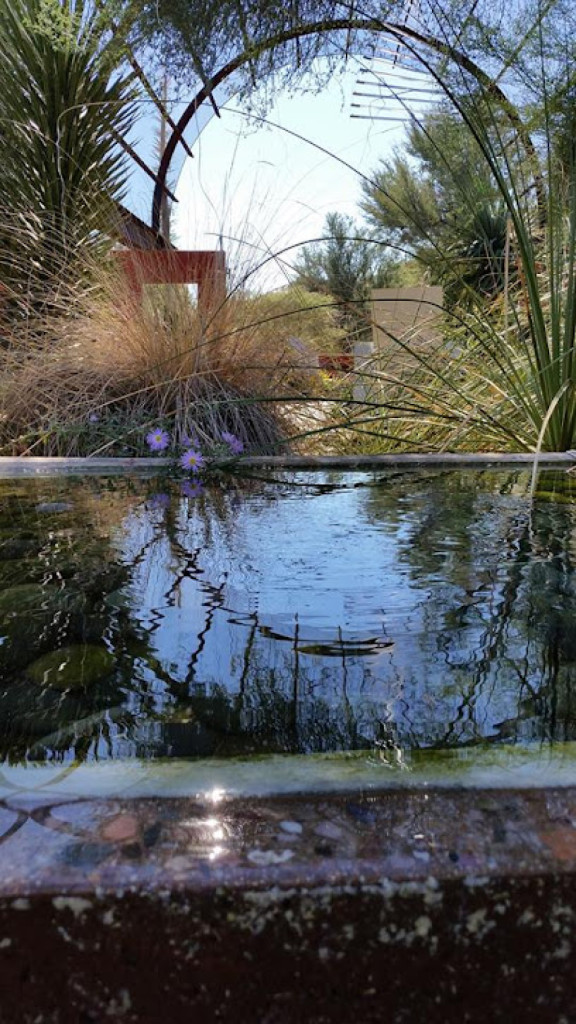 Chillax Arizona photo 1