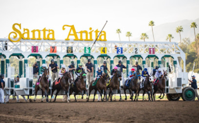 Santa Anita Health Center listing photo