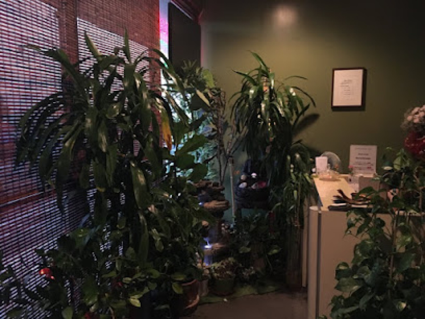 Jivaka Healing Center photo 1
