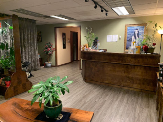 Green Day Spa listing photo