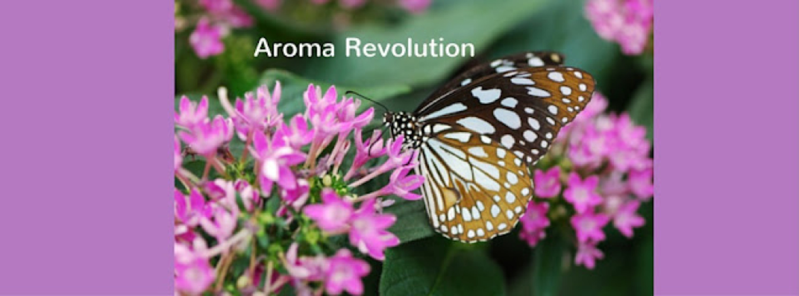 Aroma Therapy photo 1