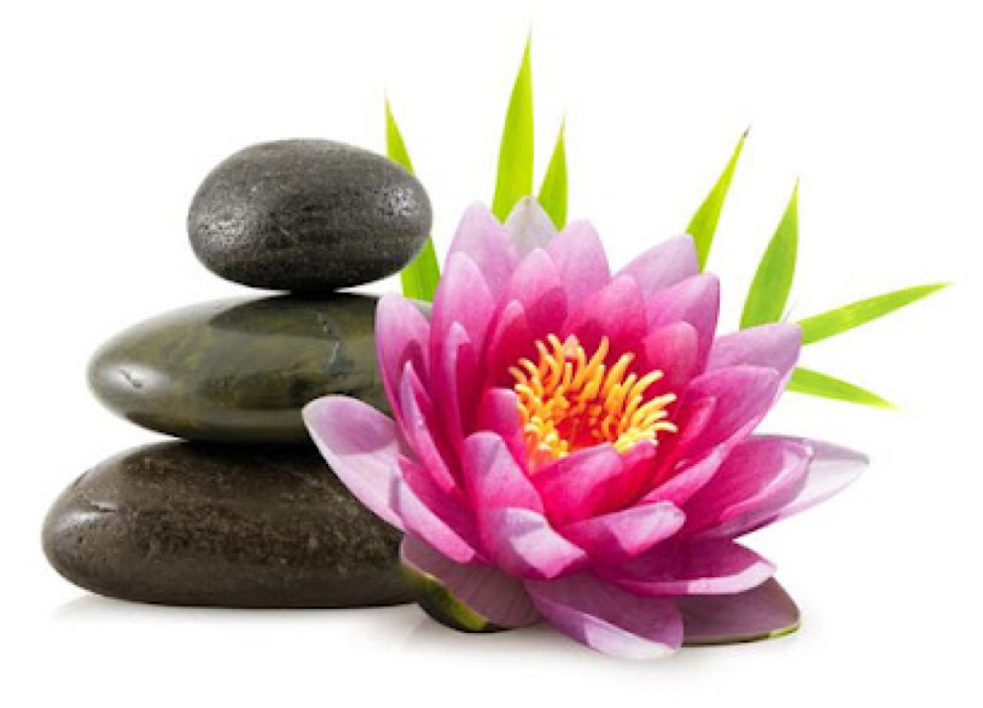 Lotus Massage photo 1