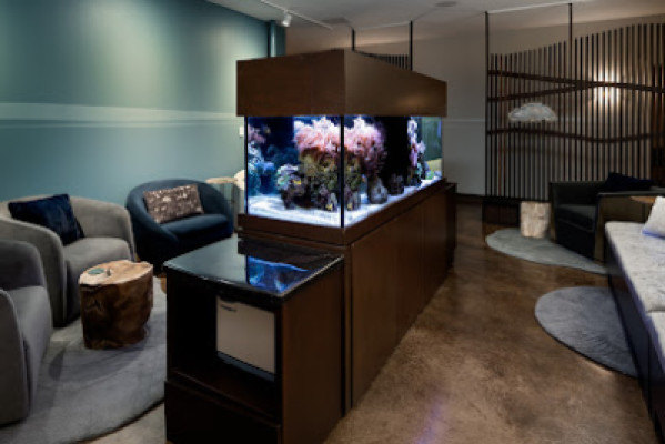 Still Point Wellness Float and massage spa listing photo