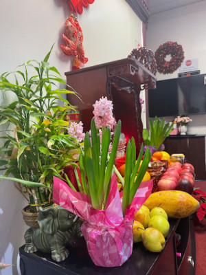 Massage Zen listing photo