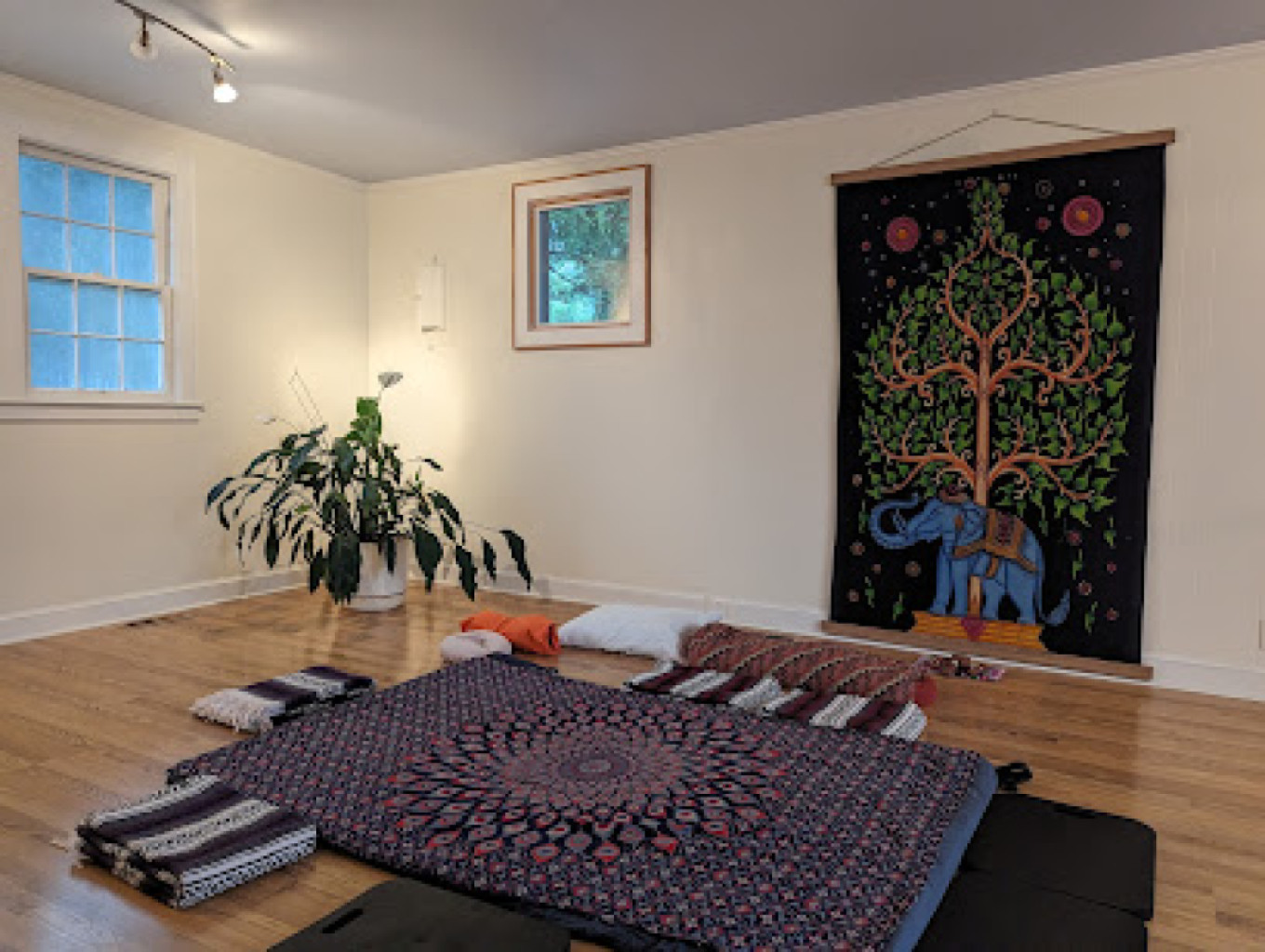 Third Path Massage photo 1