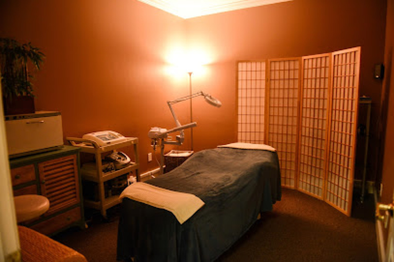 Cary Therapy & Spa photo 1