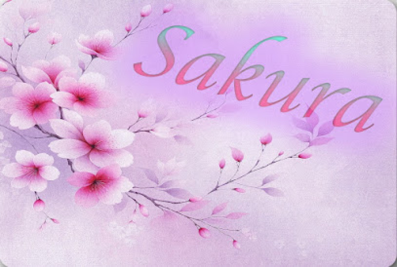 Sakura Spa photo 1