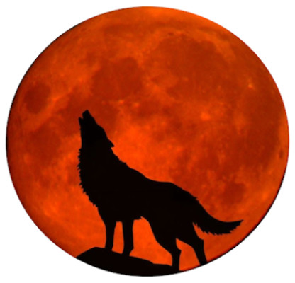 Moonlight Spa listing photo