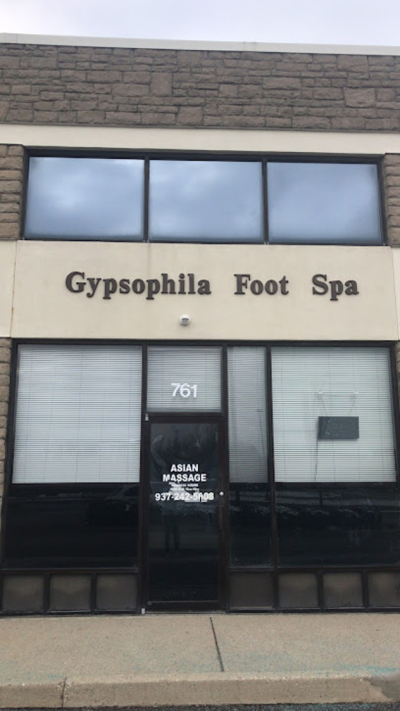 Gypsophila Asia Spa photo 1
