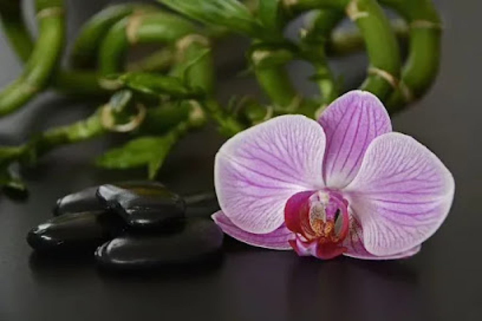 Diamonds Boutique massage photo 1