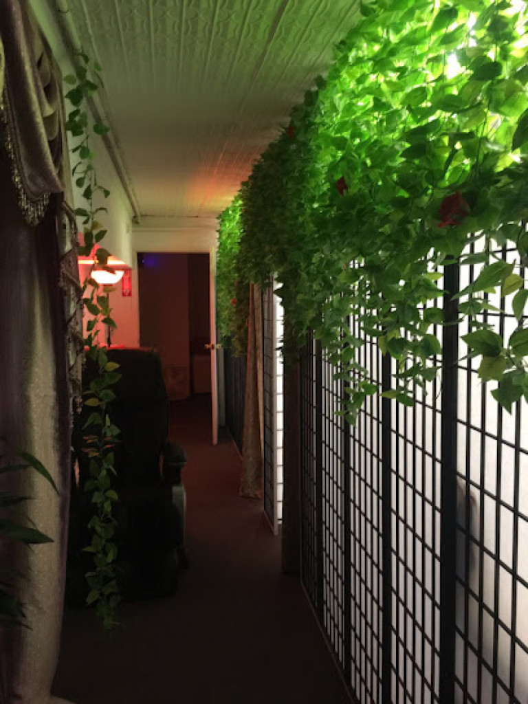 Muse Natural Spa photo 1