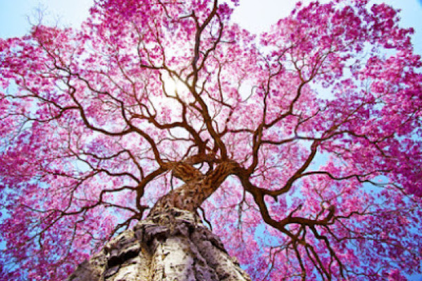 Four Season Health Spa listing photo