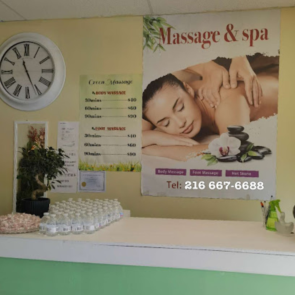 Green Massage photo 1