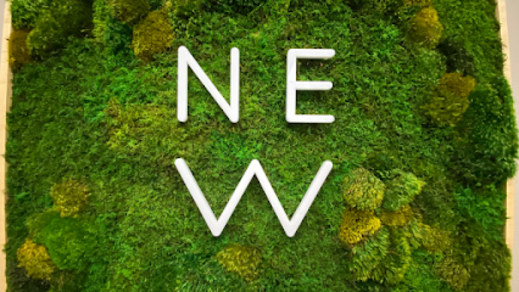 NE Wellness Massage photo 1