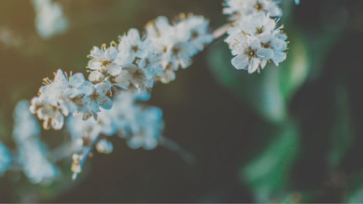 OKC Massage Therapy listing photo