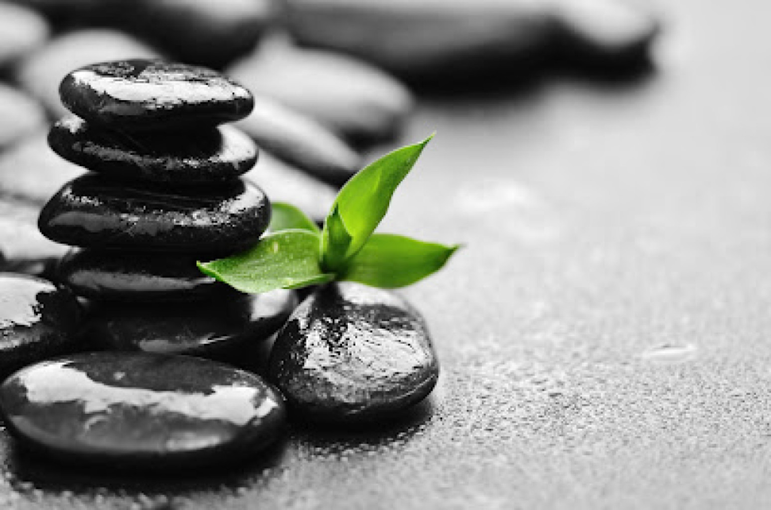 A step beyond massage therapy photo 1