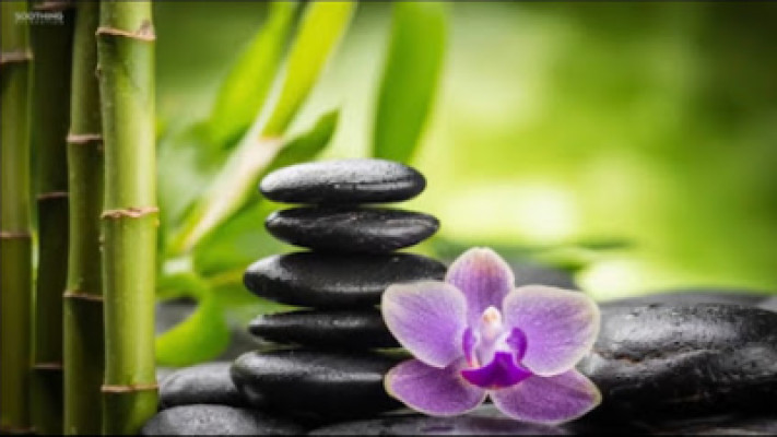 Tian's Chinese Massage listing photo