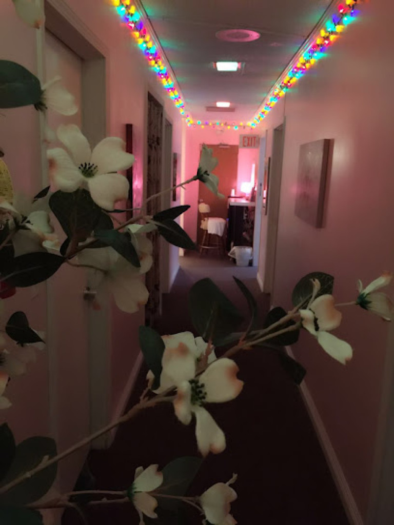 Swan Spa photo 1