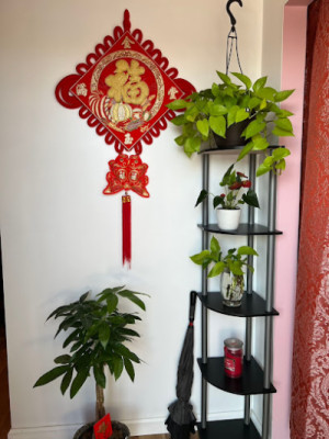 Dao Massage & Spa listing photo