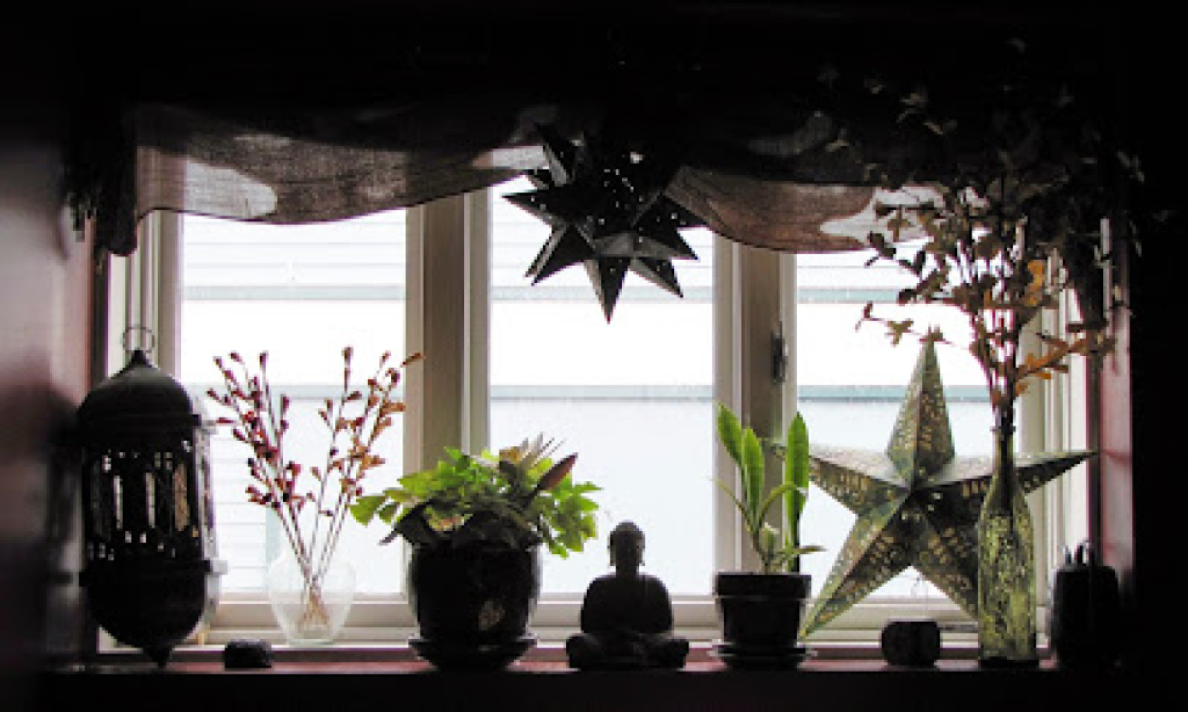 Lemon Tree Massage Therapy photo 1