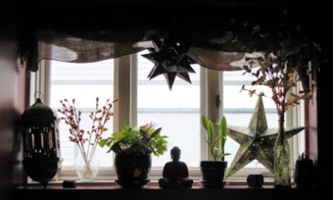 Lemon Tree Massage Therapy listing photo