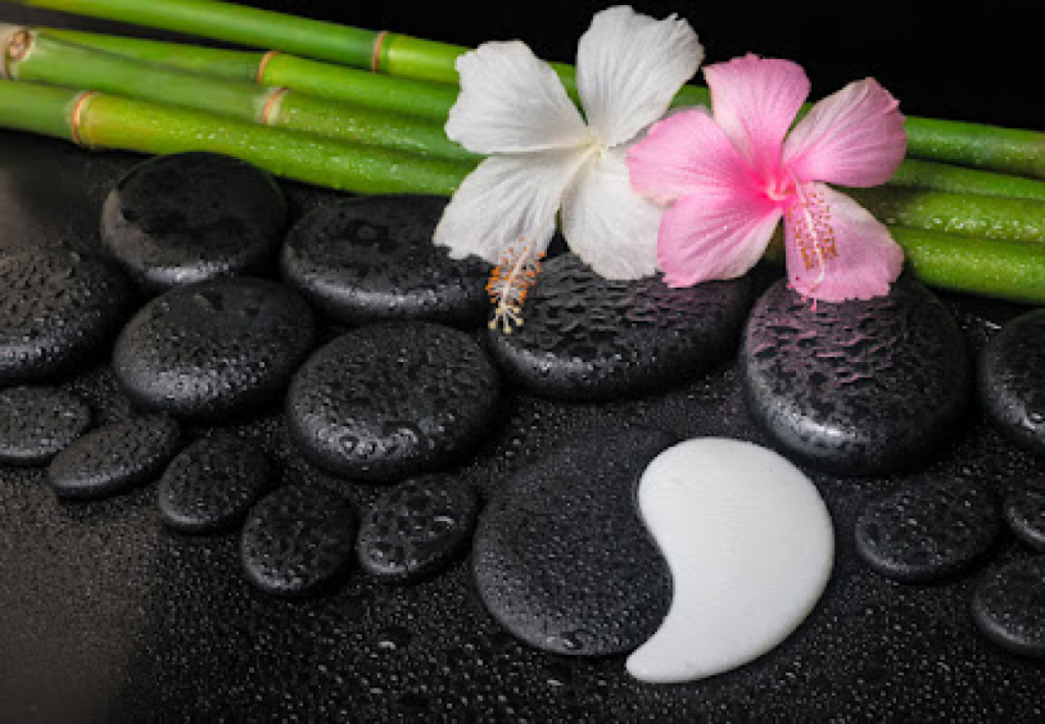 L Massage photo 1
