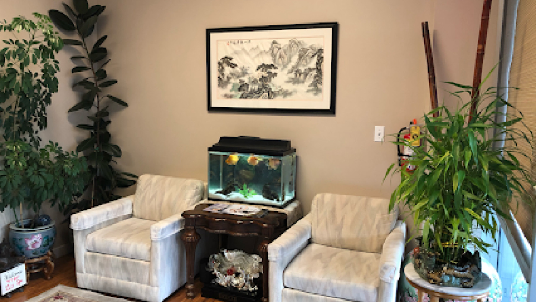 Li's Spa photo 1