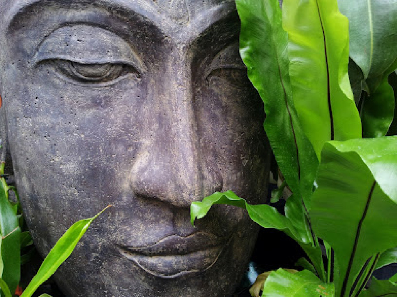 Earth Body Massage Therapy photo 1
