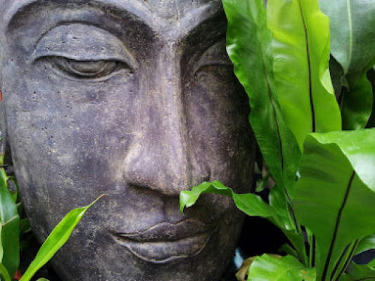 Earth Body Massage Therapy listing photo