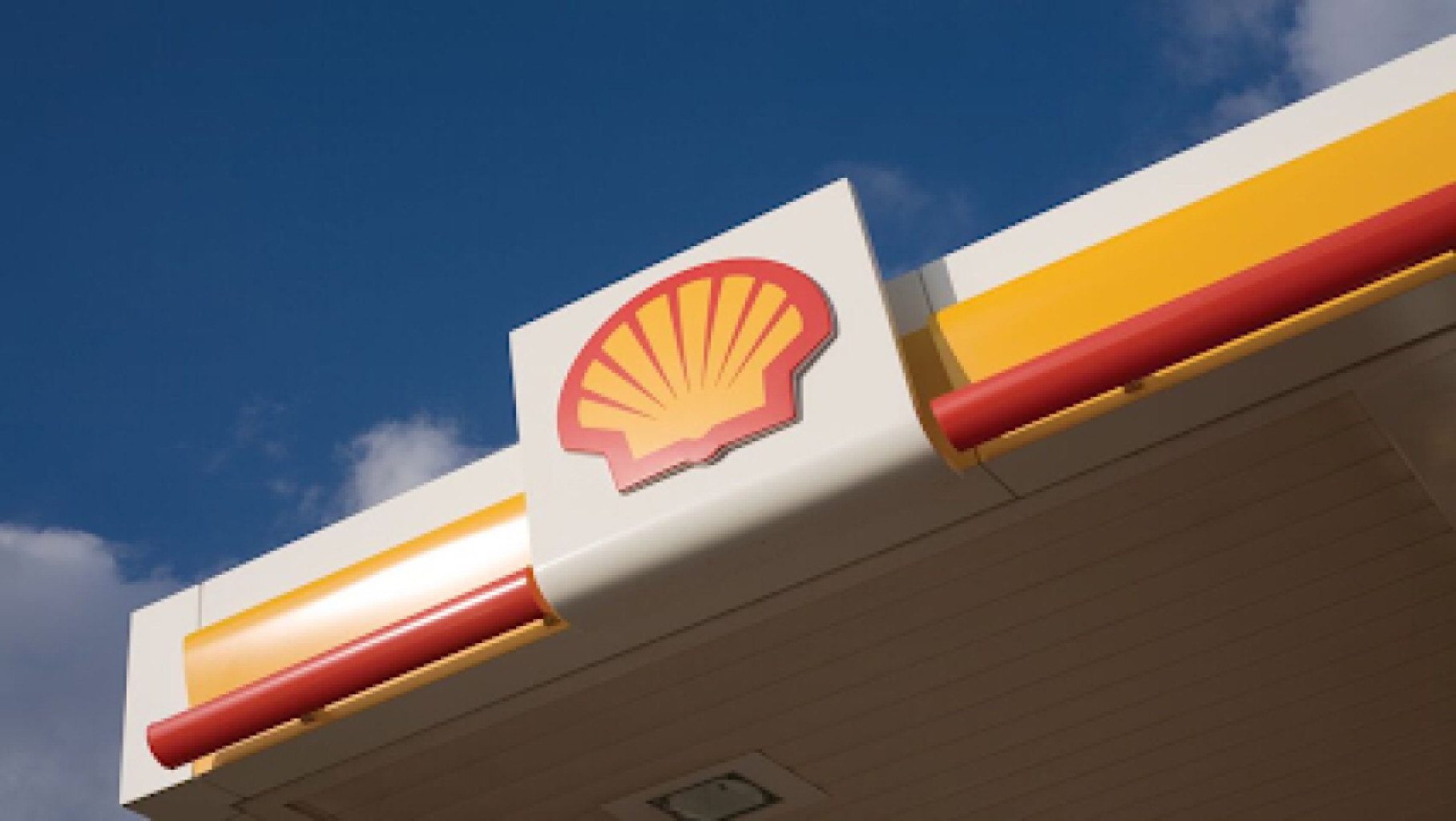 Shell Green photo 1