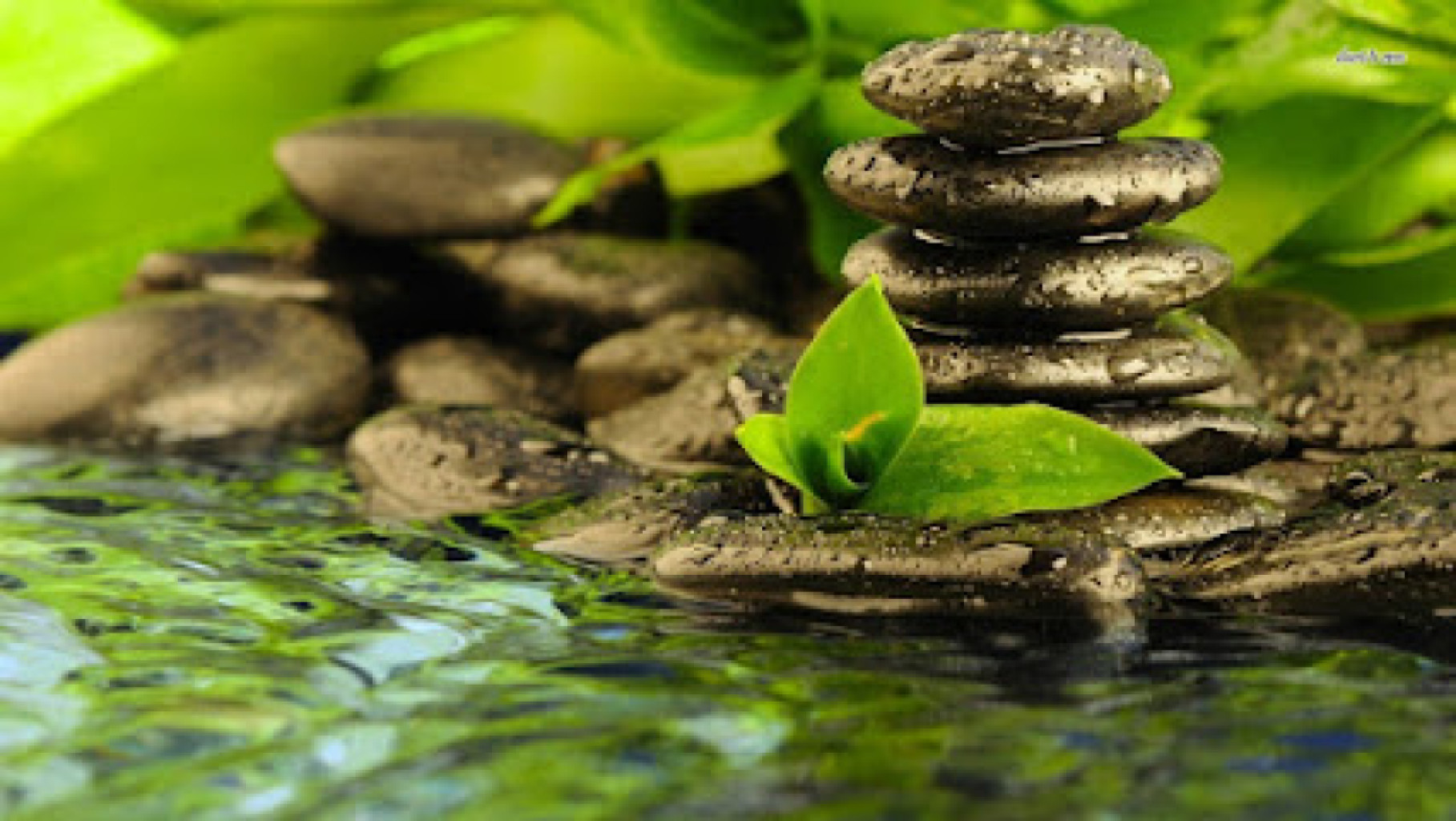 Karma Therapeutics photo 1