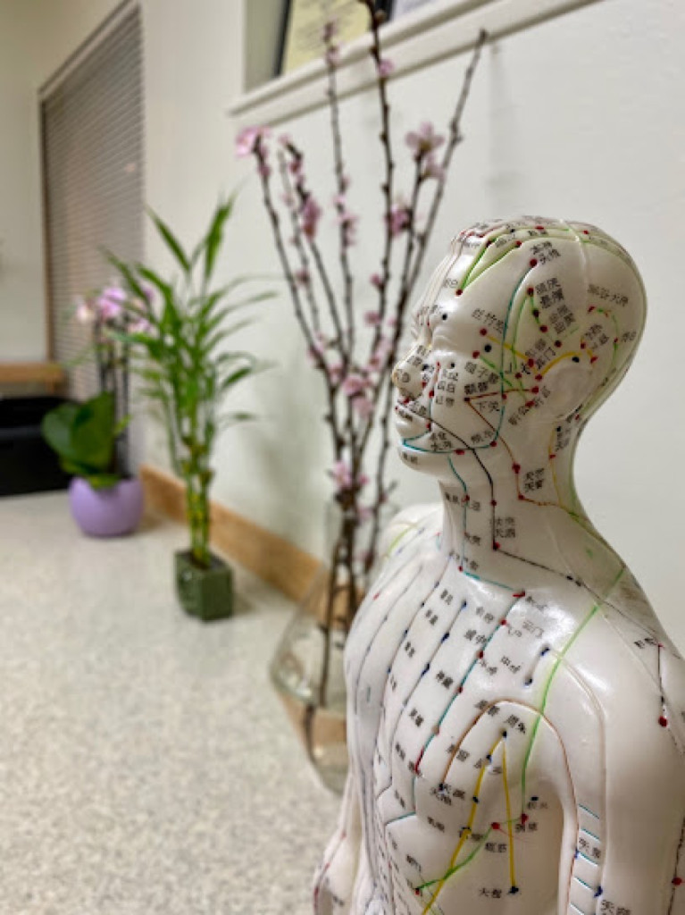 Lake Hills Acupuncture photo 1