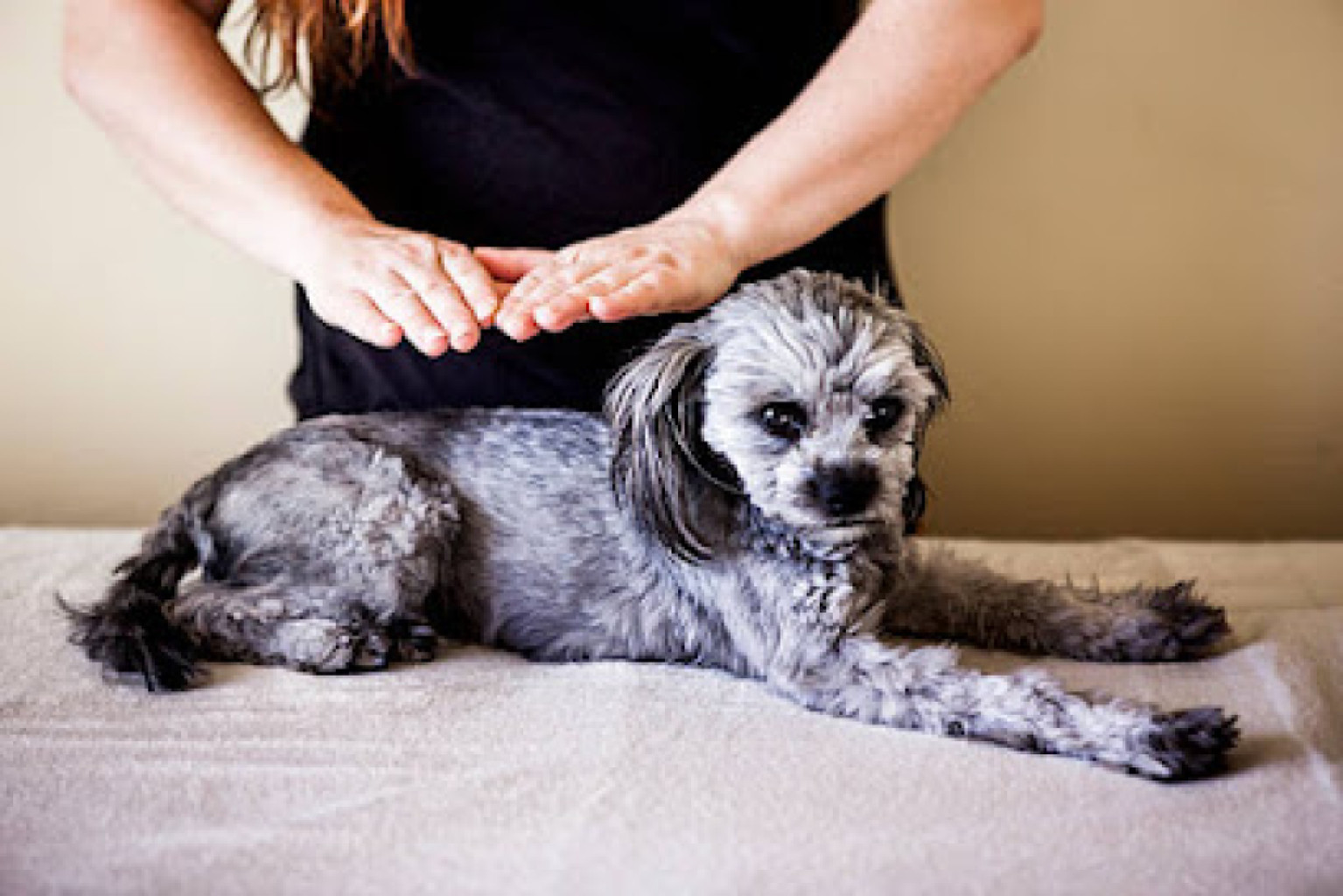 Reiki Energy photo 1