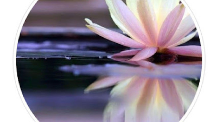 Zenith massage center listing photo
