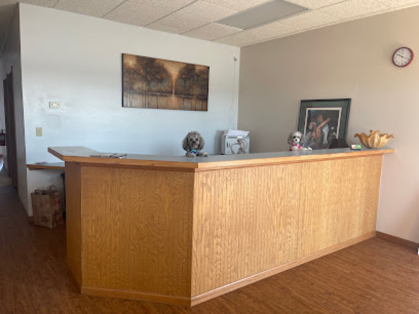 V Spa photo 1