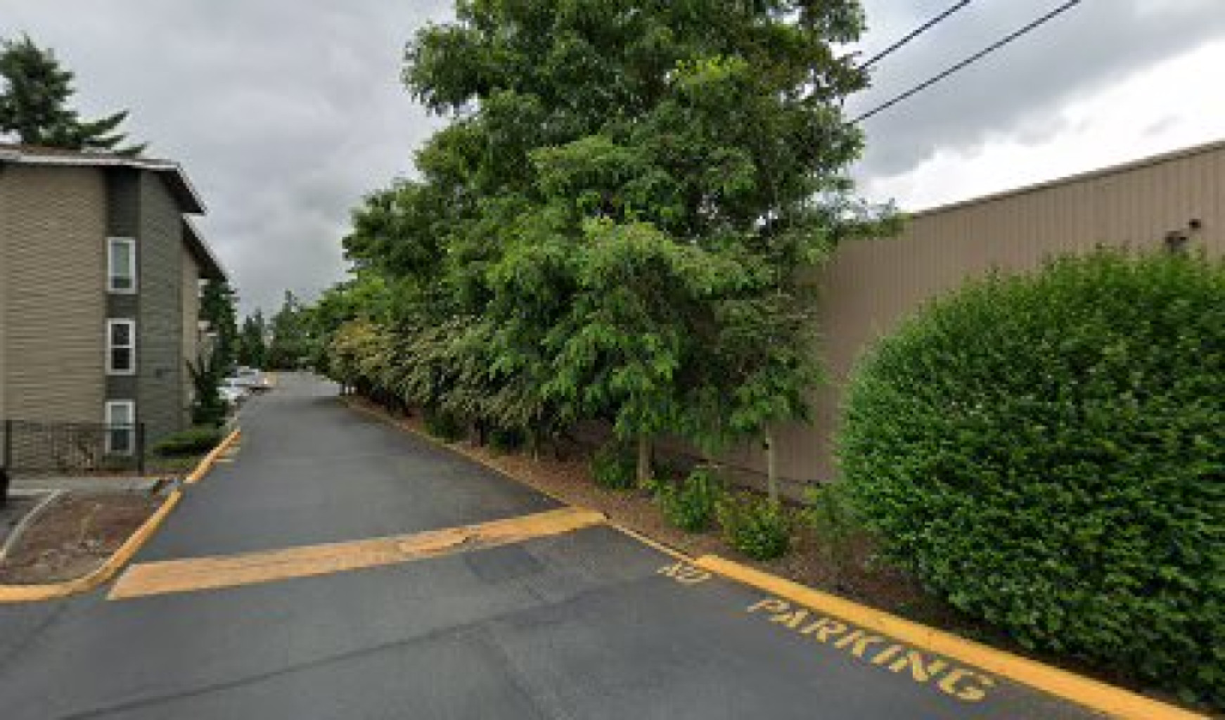 Panda Spa photo 1