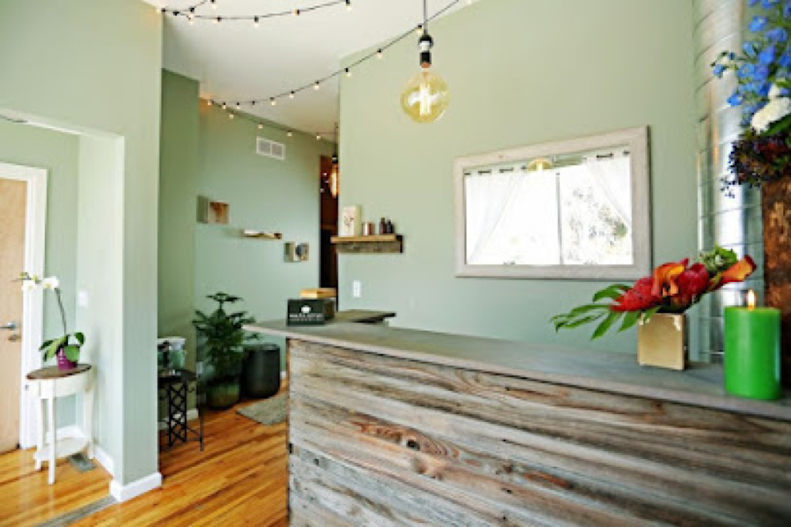 White Lotus Therapeutics photo 1