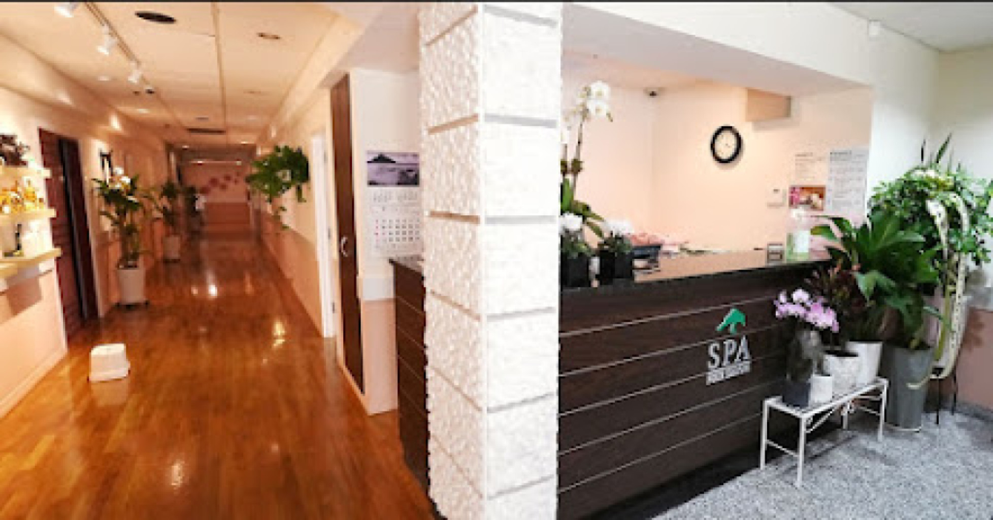 Four Seasons Massage photo 1